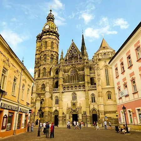 Comfort 22 Апартаменты *